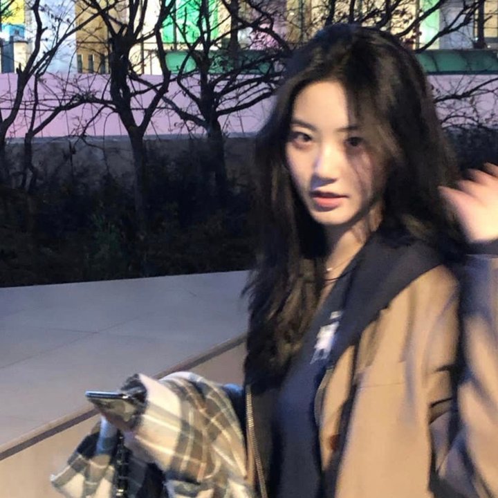 安东妮雅与珍